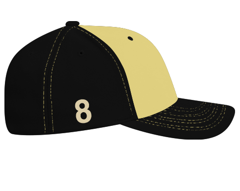 BlackGoldRightProfile2.png